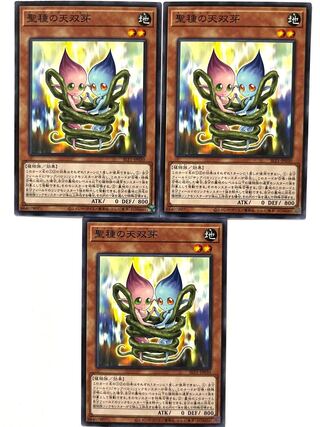 Sunseed Twin [Normal] JP030