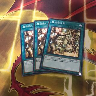 魔法族の里　3枚セット