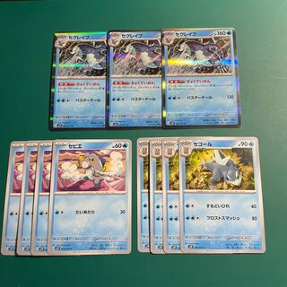 セグレイブ R 027/071 進化ライン