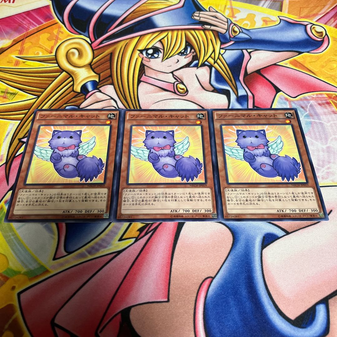 Fluffal Cat Normal JP019