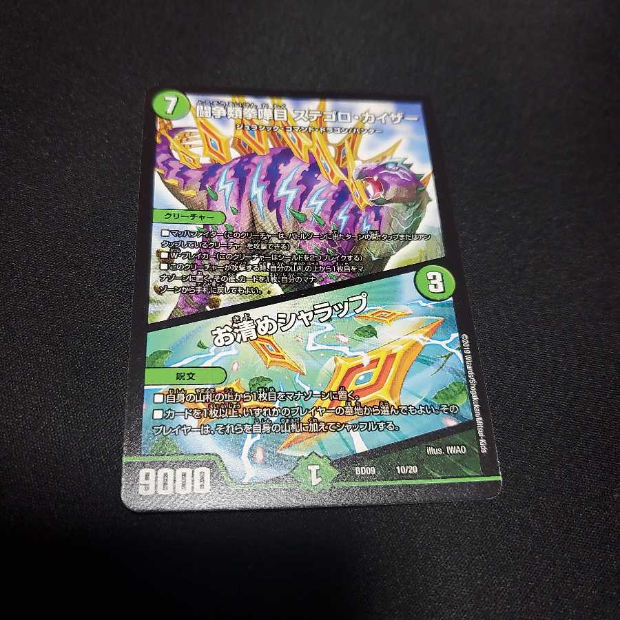 闘争類拳嘩目 ステゴロ・カイザー/お清めシャラップ