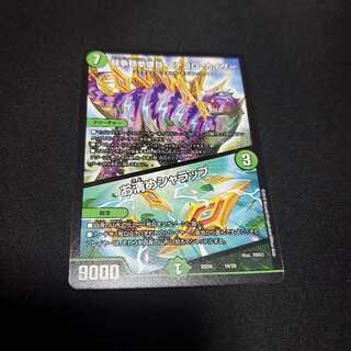 闘争類拳嘩目 ステゴロ・カイザー/お清めシャラップ