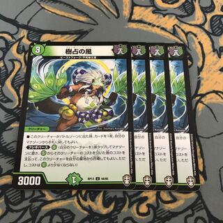 即日発送　樹占の風　4枚