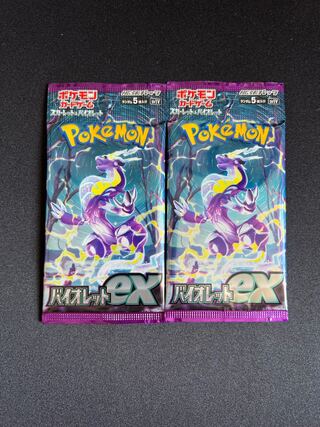 おうる様専用 1枚