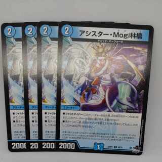 Assister Mogi Ringo C 58/74