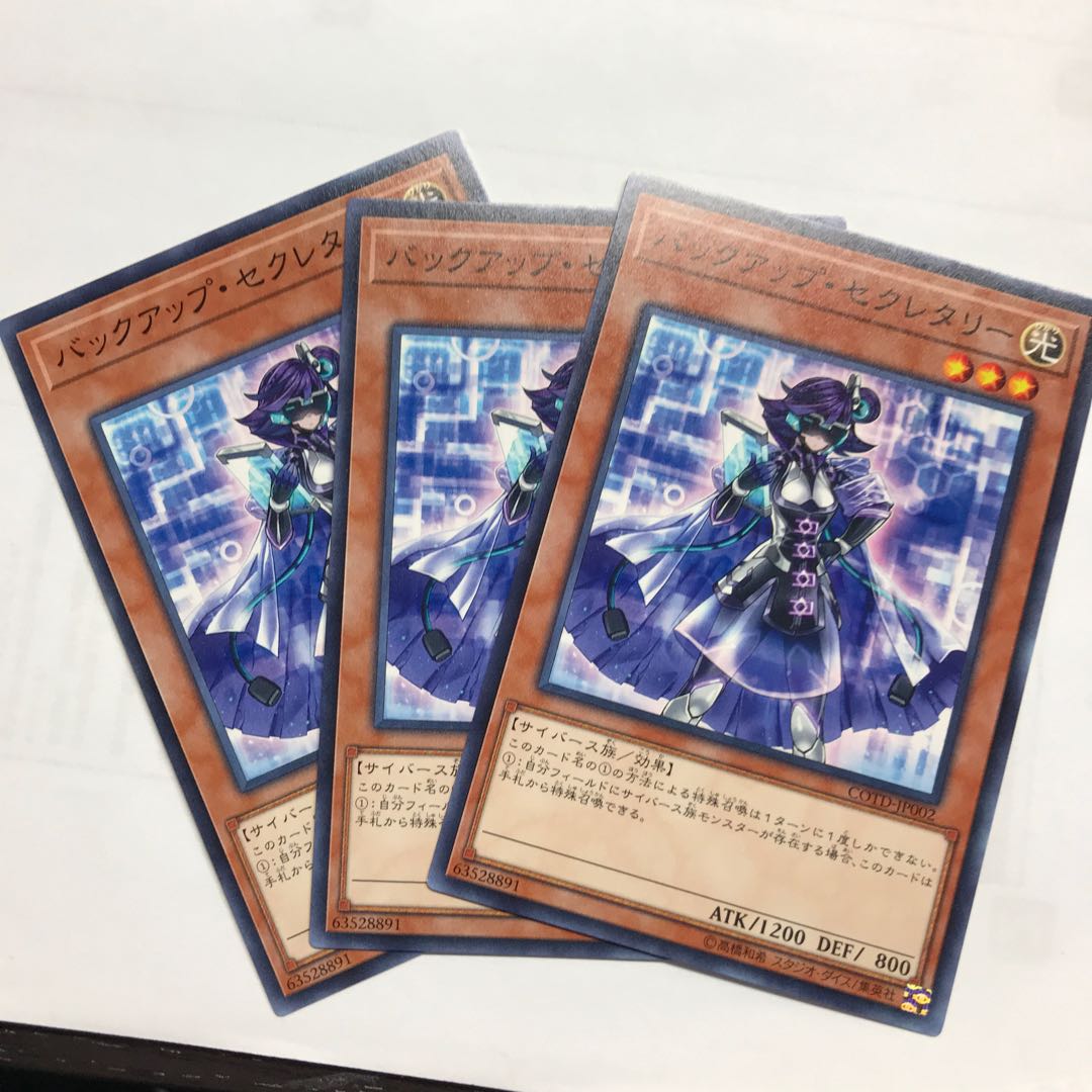 バックアップ・セクレタリー