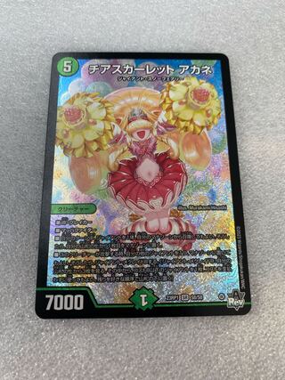 Cheer Scarlet Whitney SR S8/S8