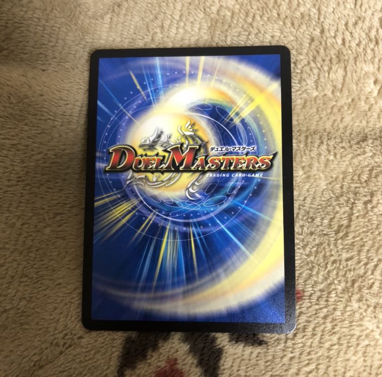 即購入可絶対の楯騎士アブソリュートシールドナイト