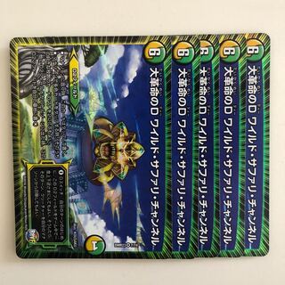 大革命のD ワイルドサファリチャンネル