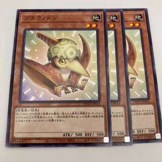 プチラノドン ノーマル　3枚