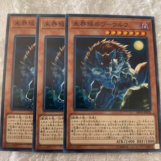 未界域のワーウルフ