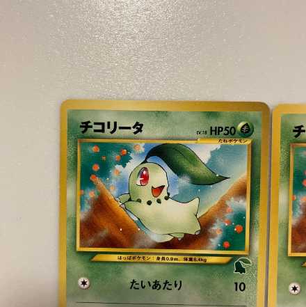 ポケモンカード旧裏　イントロ　チコリータ