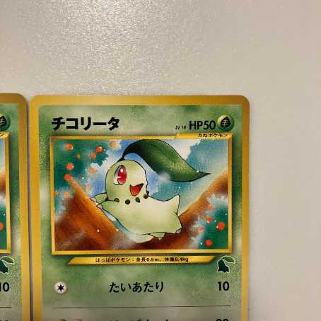 ポケモンカード旧裏　イントロ　チコリータ