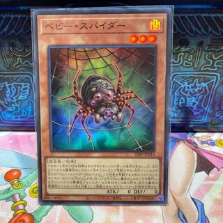 No.2131 P屋　ベビースパイダー【スーパー】