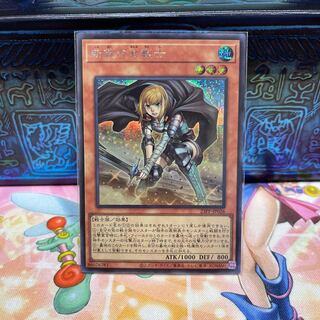 No.2139 P shop New female warrior [Secret].