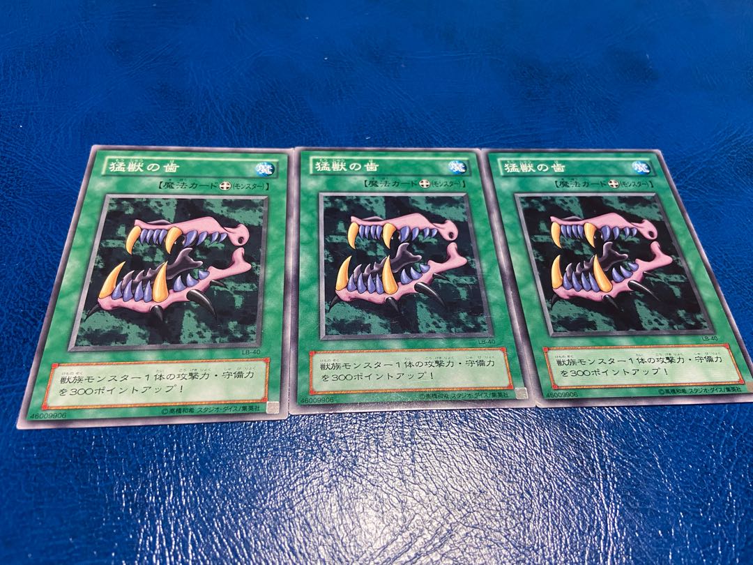 【TAKUMI】猛獣の歯　ノーマル　3枚