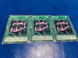 【TAKUMI】猛獣の歯　ノーマル　3枚