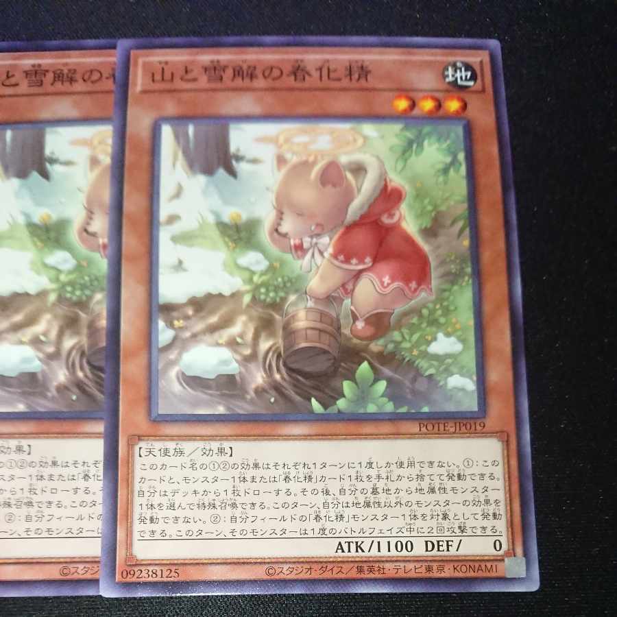 CST060 山と雪解の春化精N 3枚