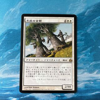 MTG 不屈の古樹