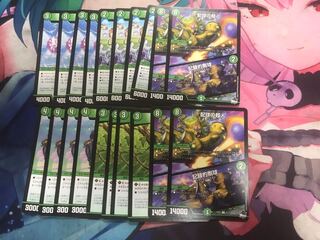 双竜戦記緑C各種４枚セット