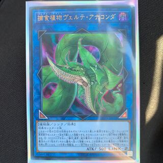 捕食植物ヴェルテ・アナコンダ