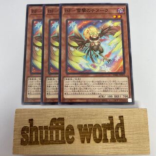 BF-Snow Shooting Chinook 224