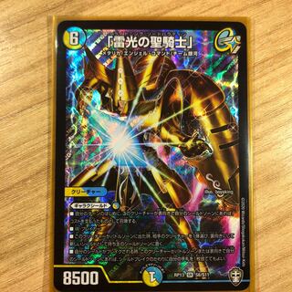 ライトニングソードパラディン