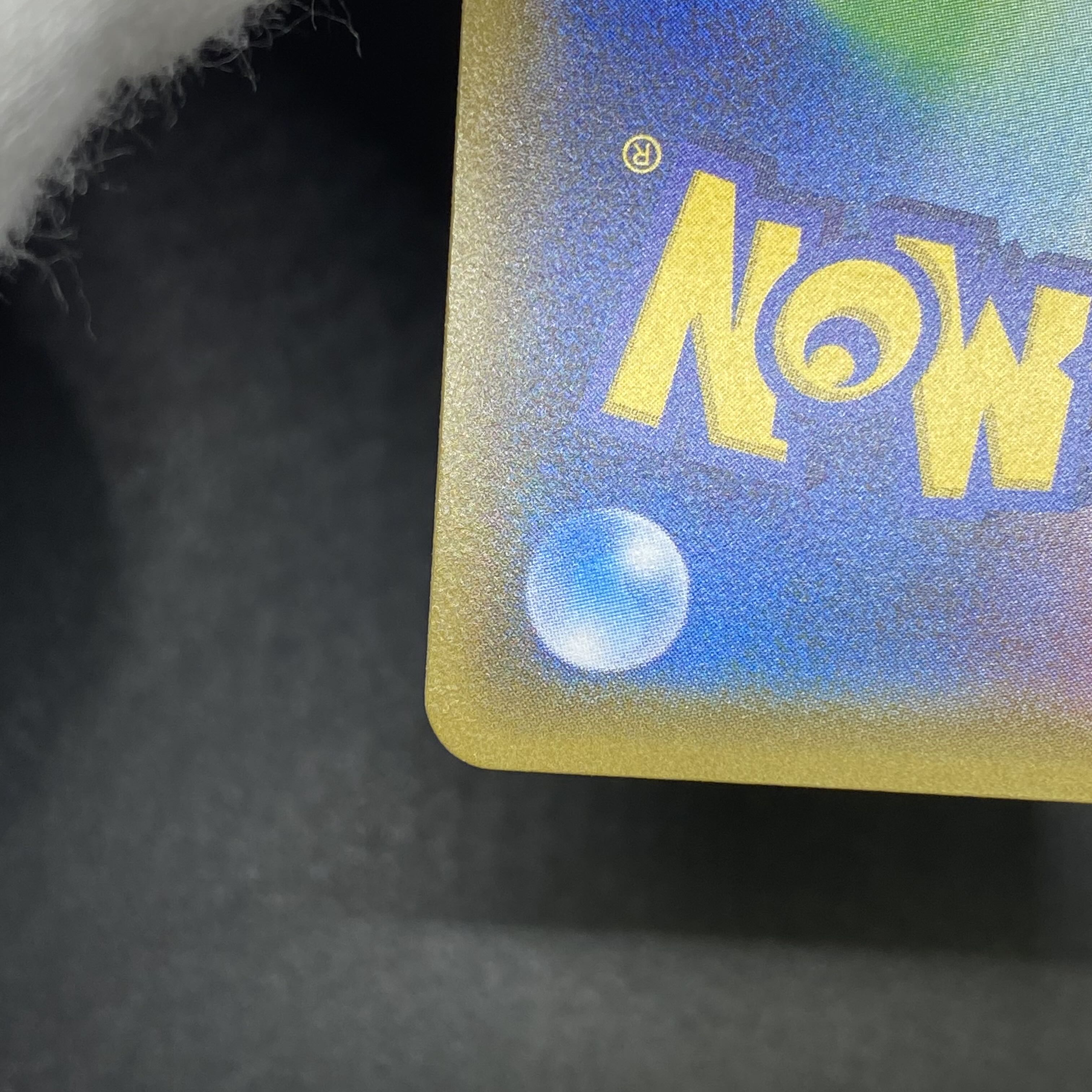 アセロラ SR 056/049