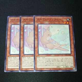 CST080 Melfi Wallaby N3