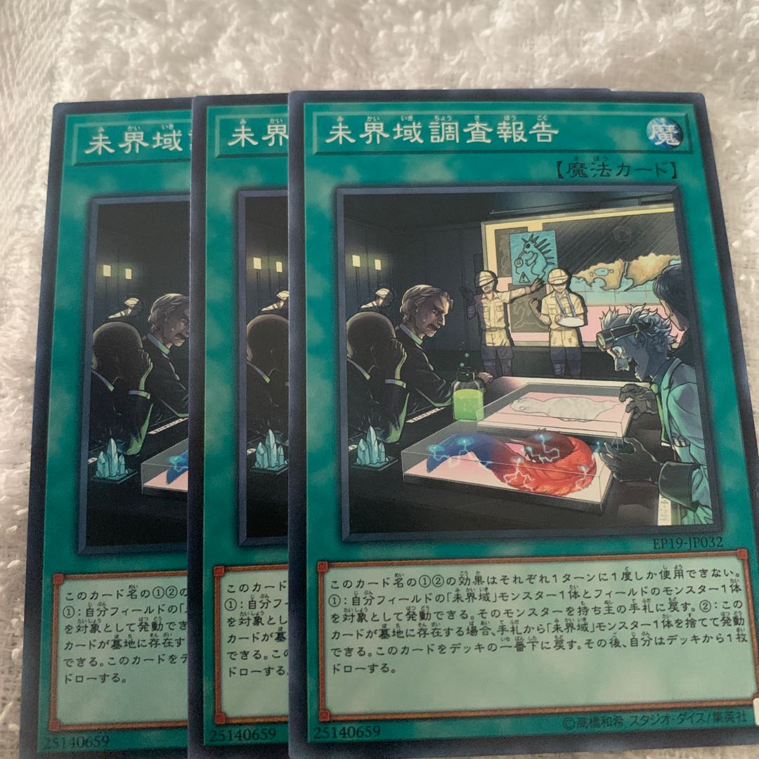 未界域調査報告