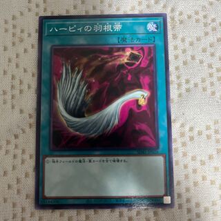 ハーピィの羽根帚 ノーマル