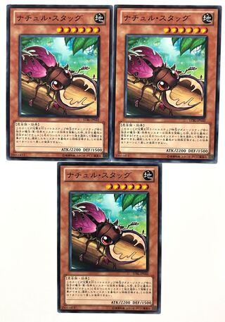 ナチュル・スタッグ 【ノーマル 】JP032