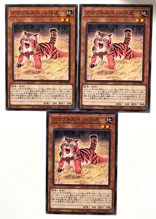 アマゾネスペット仔虎【ノーマル】JP040