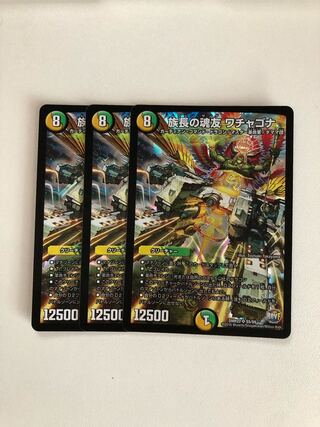 Wachagona, soul friend of the chief