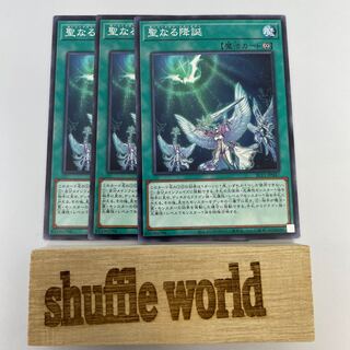 Starry Knight Ceremony 249