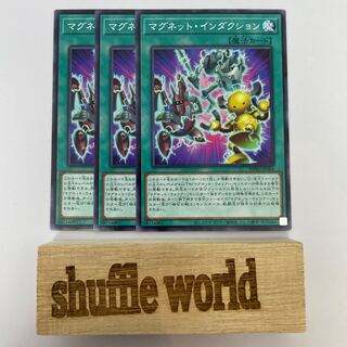 Magnet Induction 253