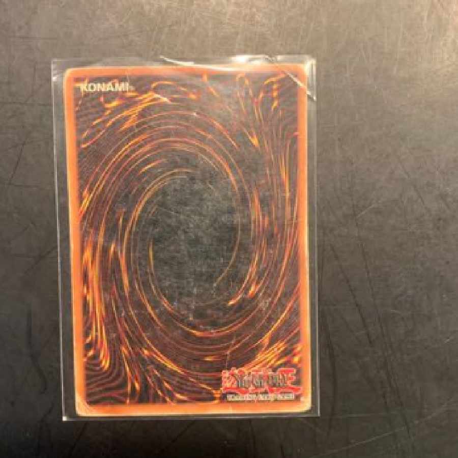 Yu-Gi-Oh! Red-Eyes Dragon Red-Eyes Darkness Dragon English version 1枚