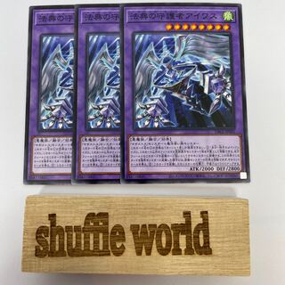 法典の守護者アイワス 271