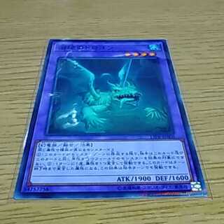 沼地のドロゴン　ノーパラ