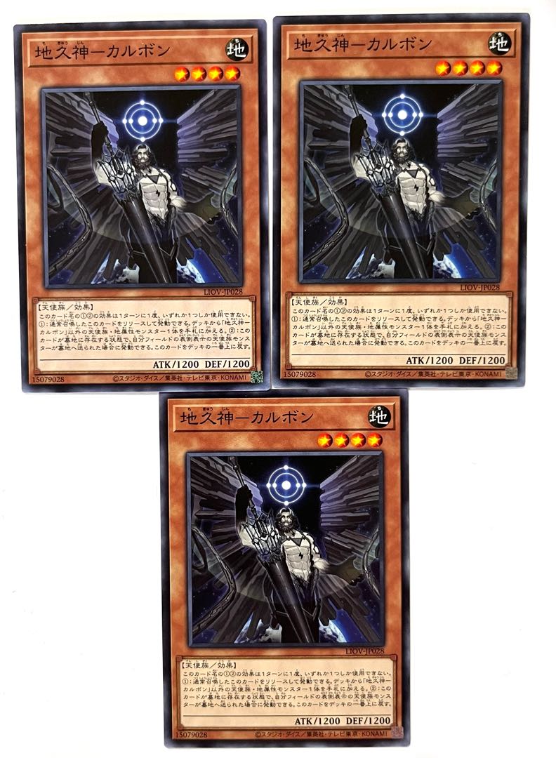 地久神-カルボン【ノーマル】JP028