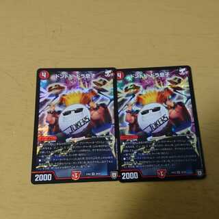 ドンドドドラ息子