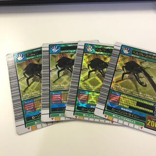 ヘルクレスオオカブト 4枚セット