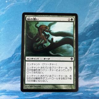 MTG 梢の覆い