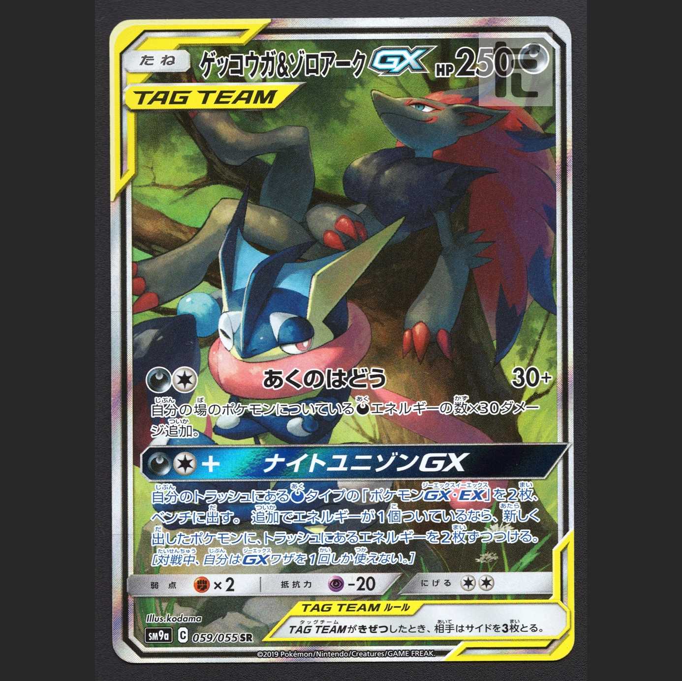 ゲッコウガ&ゾロアークGX【エクセ】SR SA スペシャルアート/管理:MP6180