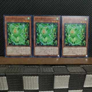 【ぽぽたん】遊戯王  #2256  ブルル@イグニスター   ノーマル  ３枚