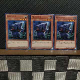 【ぽぽたん】遊戯王  #2263  吸血コアラ   ノーマル  ３枚