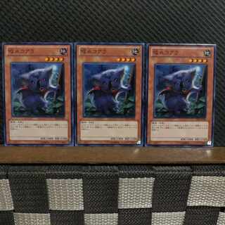 【ぽぽたん】遊戯王  #2264  吸血コアラ  ノーマル  ３枚