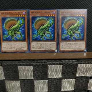 【ぽぽたん】遊戯王  2666  捕食植物スピノ・ディオネア  ノーマル  ３枚