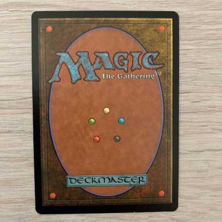 MTG 西風の魔道士アレクシーfoil 1枚
