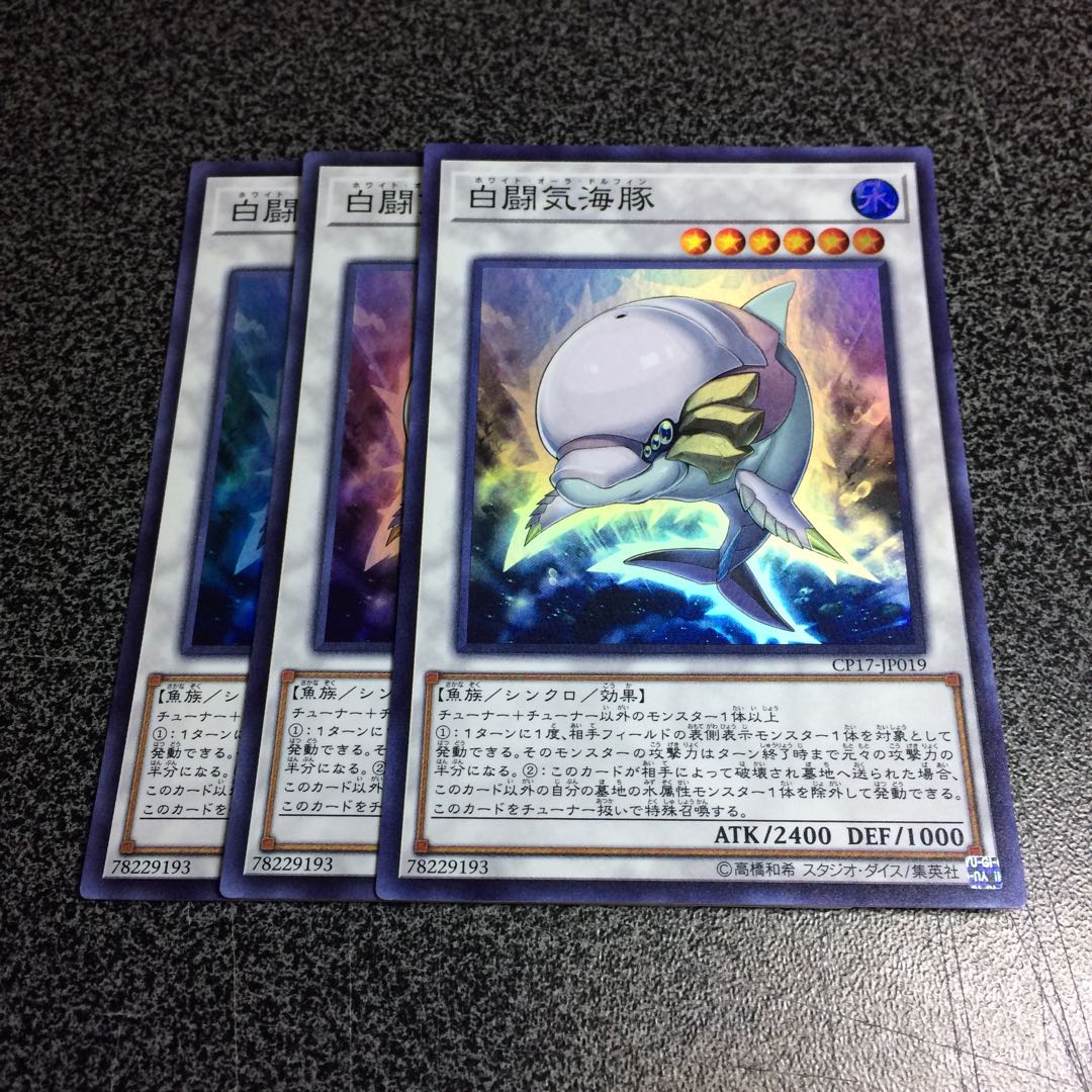 白闘気海豚【SR】